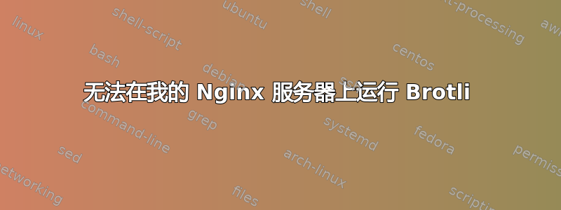 无法在我的 Nginx 服务器上运行 Brotli