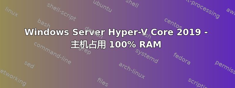 Windows Server Hyper-V Core 2019 - 主机占用 100% RAM