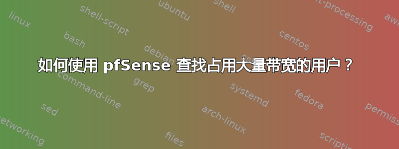 如何使用 pfSense 查找占用大量带宽的用户？