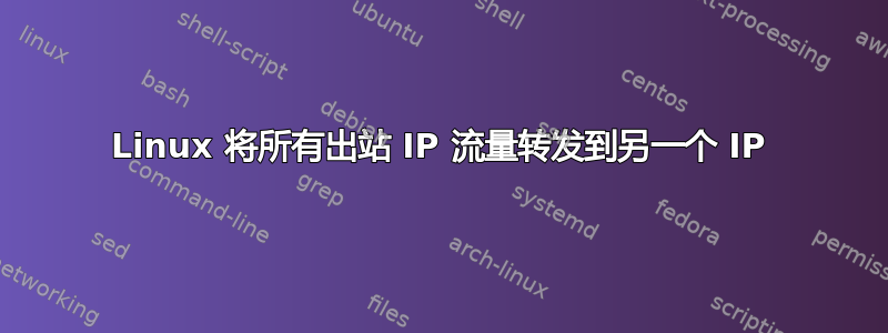 Linux 将所有出站 IP 流量转发到另一个 IP