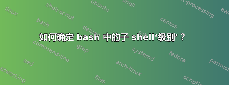 如何确定 bash 中的子 shell‘级别’？