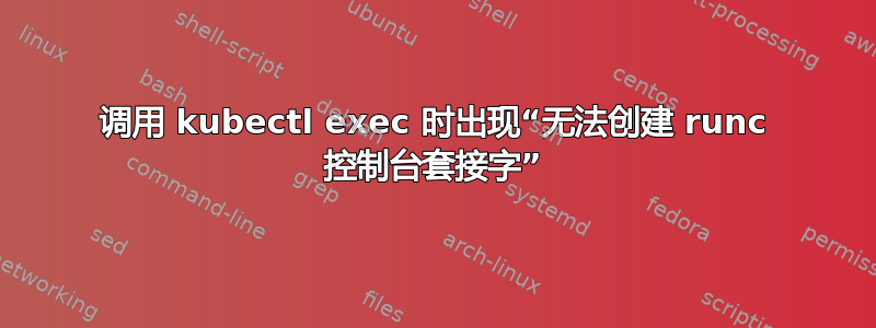 调用 kubectl exec 时出现“无法创建 runc 控制台套接字”