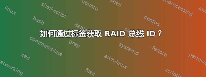 如何通过标签获取 RAID 总线 ID？