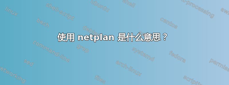 使用 netplan 是什么意思？