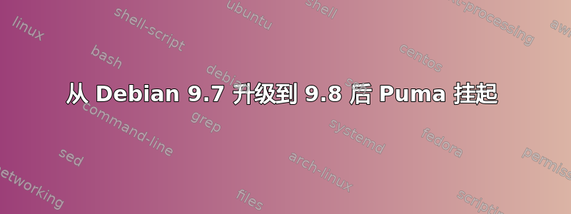 从 Debian 9.7 升级到 9.8 后 Puma 挂起