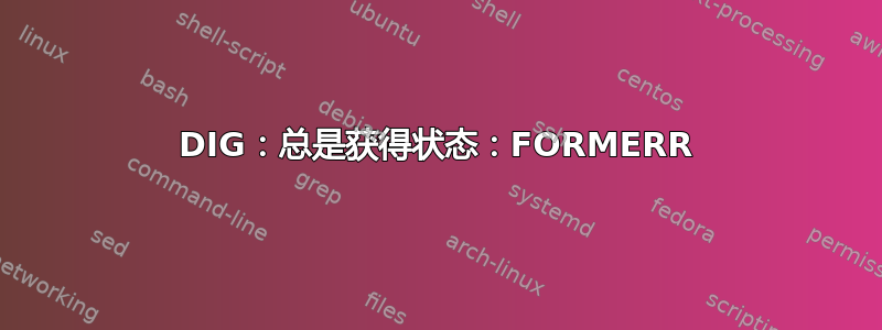 DIG：总是获得状态：FORMERR