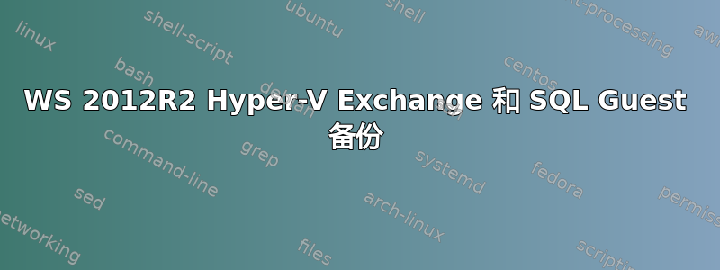 WS 2012R2 Hyper-V Exchange 和 SQL Guest 备份