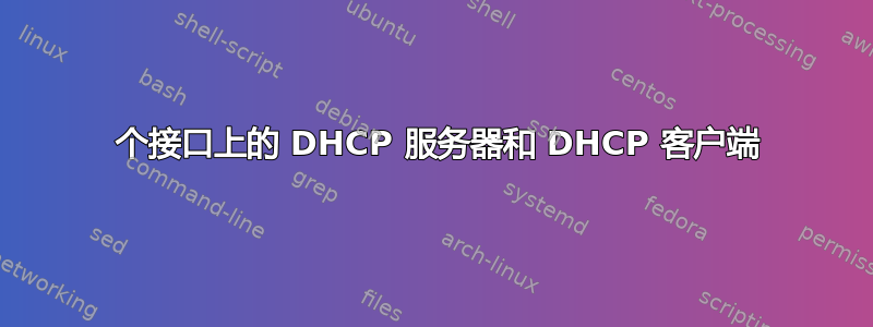 1 个接口上的 DHCP 服务器和 DHCP 客户端