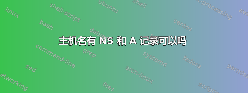 主机名有 NS 和 A 记录可以吗