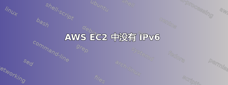 AWS EC2 中没有 IPv6