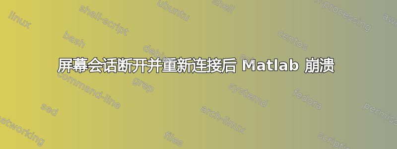 屏幕会话断开并重新连接后 Matlab 崩溃