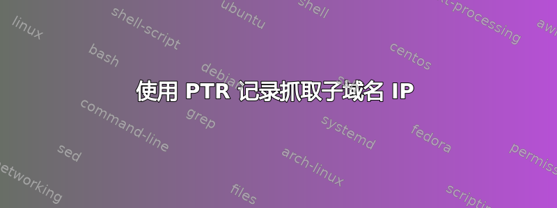 使用 PTR 记录抓取子域名 IP