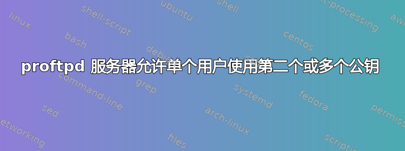 proftpd 服务器允许单个用户使用第二个或多个公钥