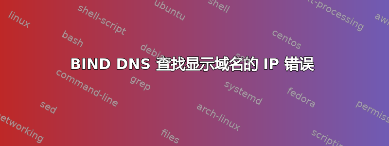 BIND DNS 查找显示域名的 IP 错误