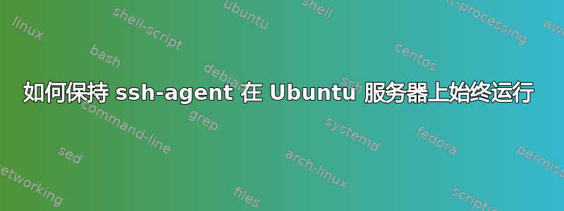 如何保持 ssh-agent 在 Ubuntu 服务器上始终运行