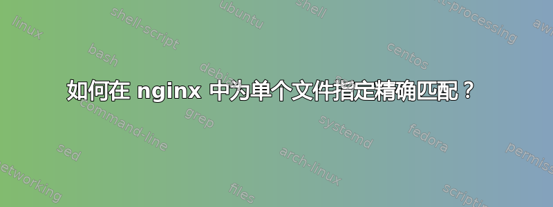 如何在 nginx 中为单个文件指定精确匹配？