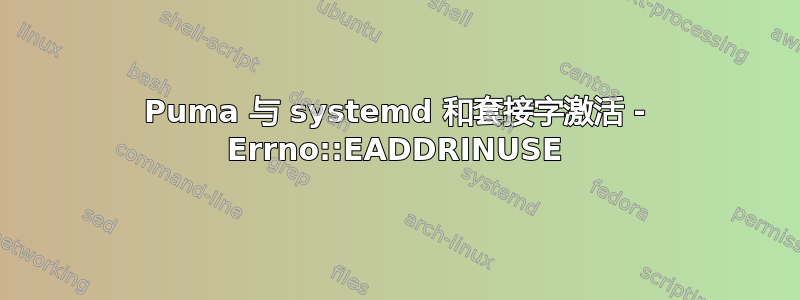 Puma 与 systemd 和套接字激活 - Errno::EADDRINUSE