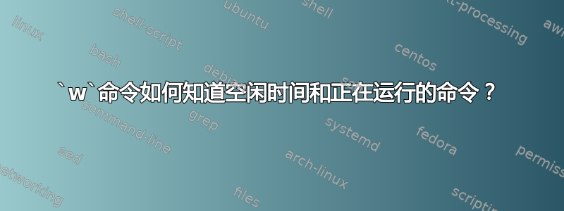 `w`命令如何知道空闲时间和正在运行的命令？