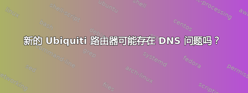 新的 Ubiquiti 路由器可能存在 DNS 问题吗？