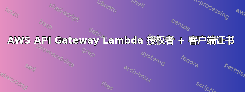 AWS API Gateway Lambda 授权者 + 客户端证书