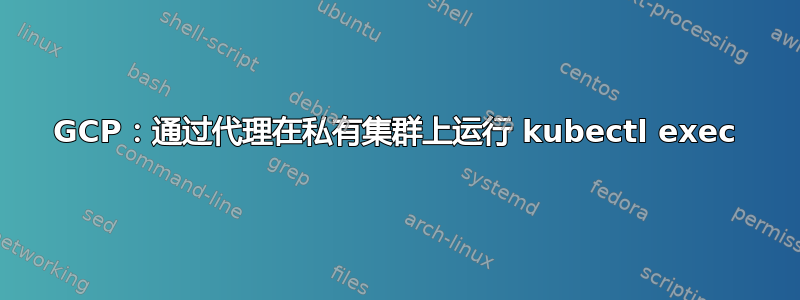 GCP：通过代理在私有集群上运行 kubectl exec