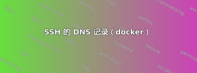 SSH 的 DNS 记录（docker）