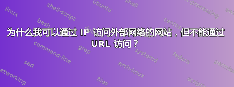 为什么我可以通过 IP 访问外部网络的网站，但不能通过 URL 访问？