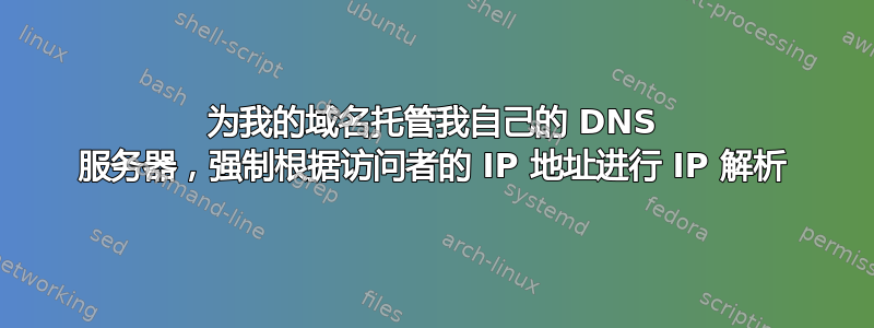 为我的域名托管我自己的 DNS 服务器，强制根据访问者的 IP 地址进行 IP 解析