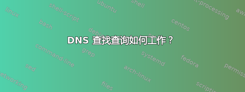 DNS 查找查询如何工作？