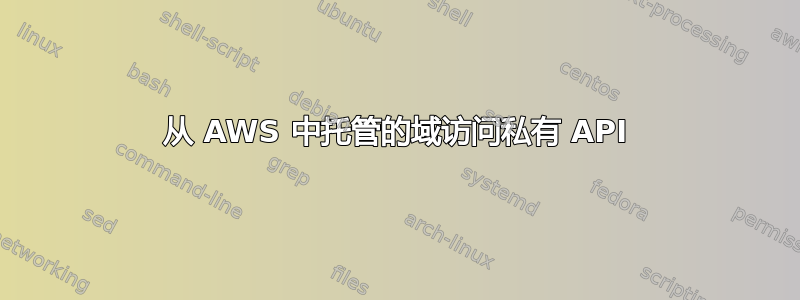 从 AWS 中托管的域访问私有 API