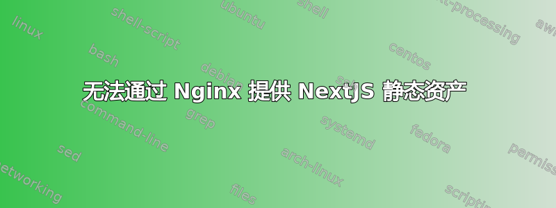 无法通过 Nginx 提供 NextJS 静态资产