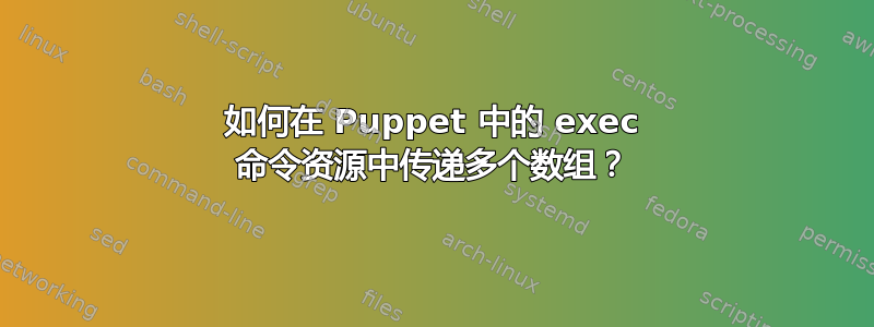 如何在 Puppet 中的 exec 命令资源中传递多个数组？