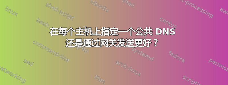 在每个主机上指定一个公共 DNS 还是通过网关发送更好？