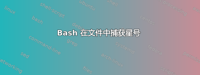 Bash 在文件中捕获星号