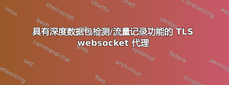 具有深度数据包检测/流量记录功能的 TLS websocket 代理