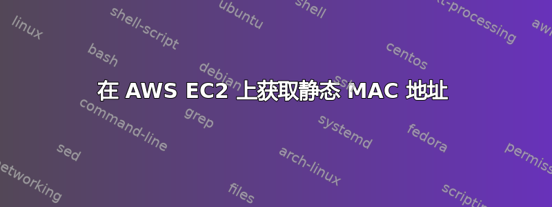 在 AWS EC2 上获取静态 MAC 地址