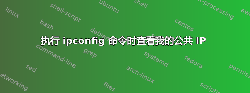 执行 ipconfig 命令时查看我的公共 IP