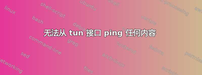 无法从 tun 接口 ping 任何内容