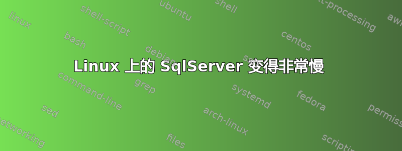 Linux 上的 SqlServer 变得非常慢