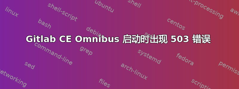 Gitlab CE Omnibus 启动时出现 503 错误