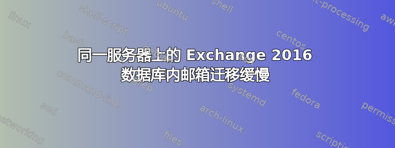 同一服务器上的 Exchange 2016 数据库内邮箱迁移缓慢