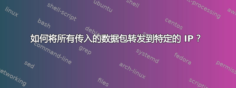 如何将所有传入的数据包转发到特定的 IP？