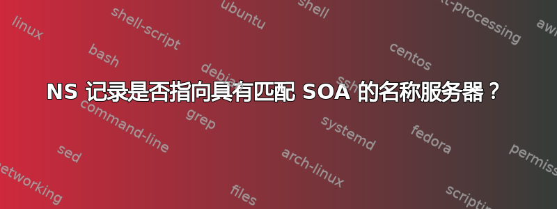 NS 记录是否指向具有匹配 SOA 的名称服务器？