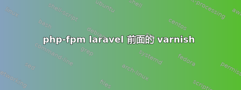 php-fpm laravel 前面的 varnish