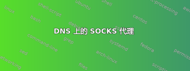 DNS 上的 SOCKS 代理