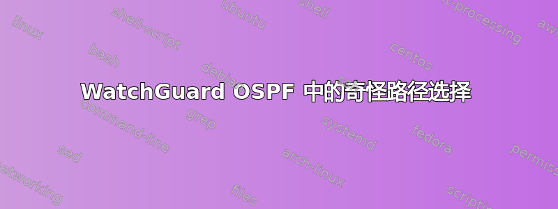 WatchGuard OSPF 中的奇怪路径选择