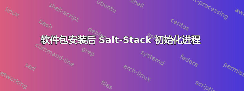 软件包安装后 Salt-Stack 初始化进程