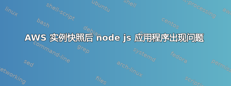 AWS 实例快照后 node js 应用程序出现问题