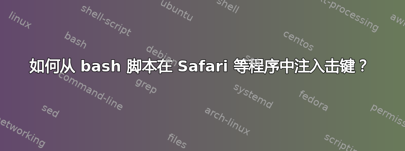 如何从 bash 脚本在 Safari 等程序中注入击键？