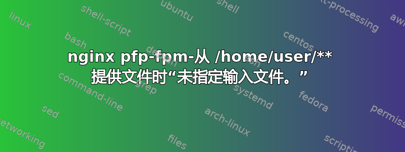 nginx pfp-fpm-从 /home/user/** 提供文件时“未指定输入文件。”